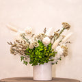 Evergreen Bloom