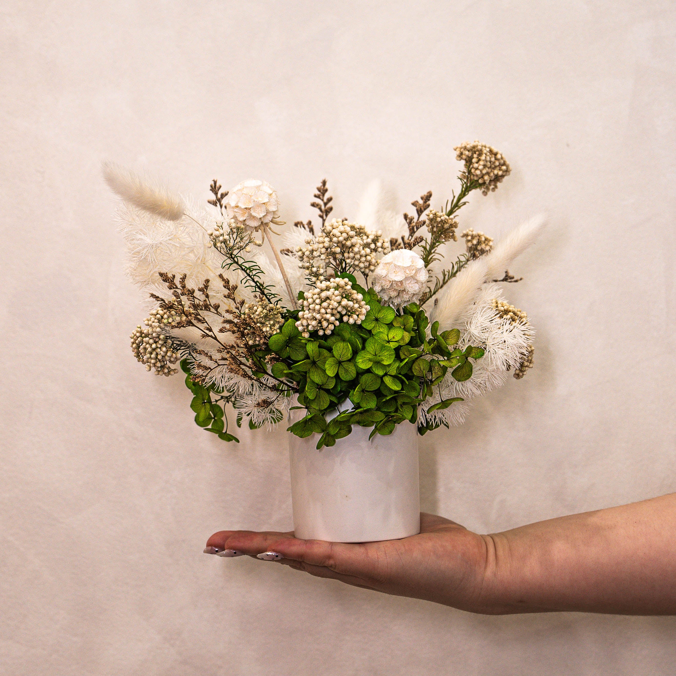 Evergreen Bloom