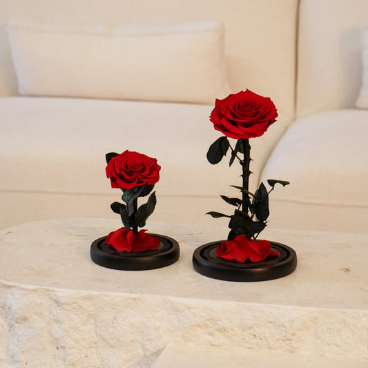 Preserved Rose