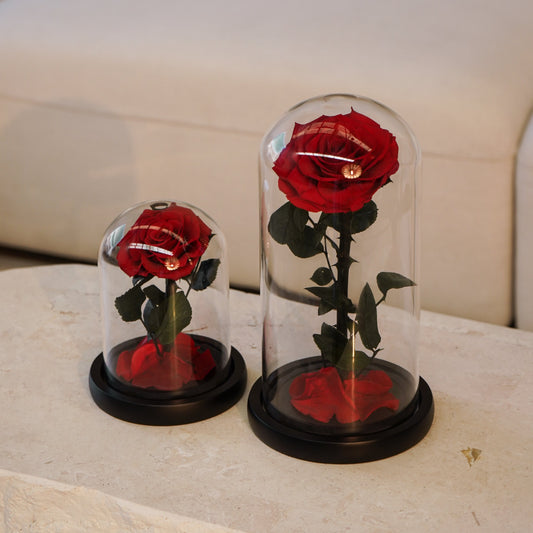 Preserved Rose